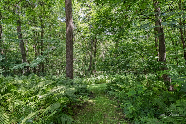 7 Vista Ridge Dr, Galena, IL 61036 - view of woods