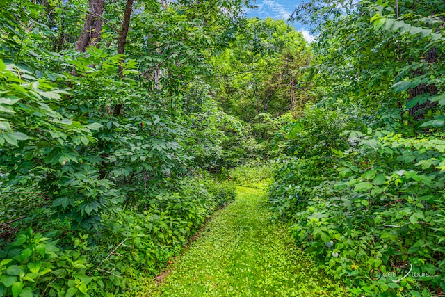 7 Vista Ridge Dr, Galena, IL 61036 - view of wooded area