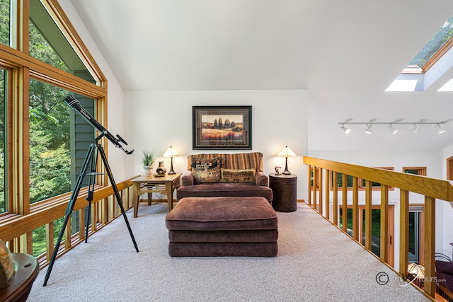 7 Vista Ridge Dr, Galena, IL 61036 - living room featuring a skylight, carpet, track lighting, and lofted ceiling