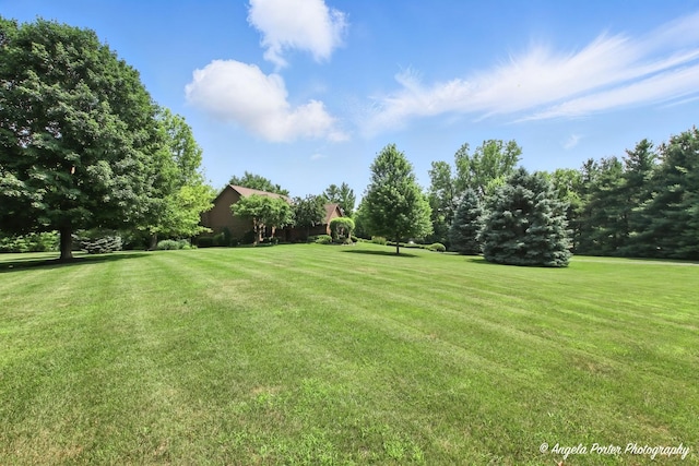 1815 Vineyard Ln, Spring Grove, IL 60081 - view of grassy yard
