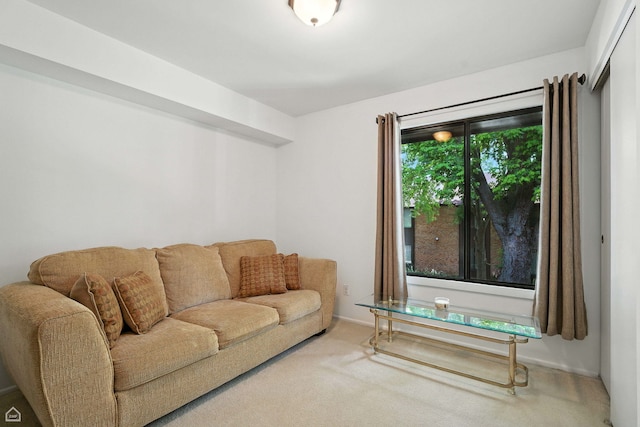 740 Saint Andrews Ln Unit 5, Crystal Lake, IL 60014 - view of carpeted living area