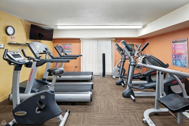 740 Saint Andrews Ln Unit 5, Crystal Lake, IL 60014 - workout area with carpet and a textured ceiling