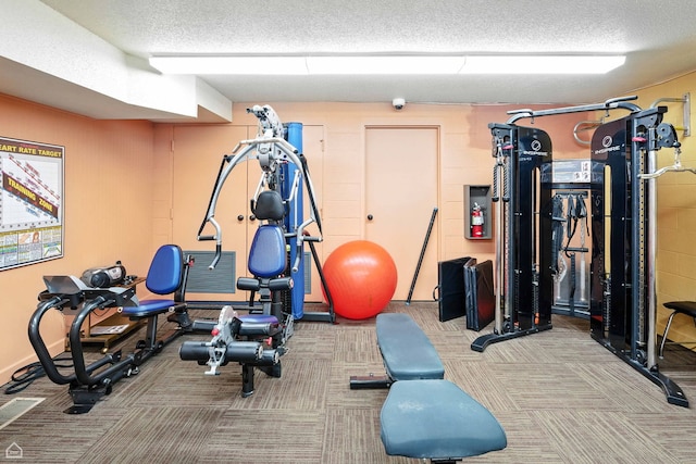 740 Saint Andrews Ln Unit 5, Crystal Lake, IL 60014 - workout area with a textured ceiling and carpet flooring