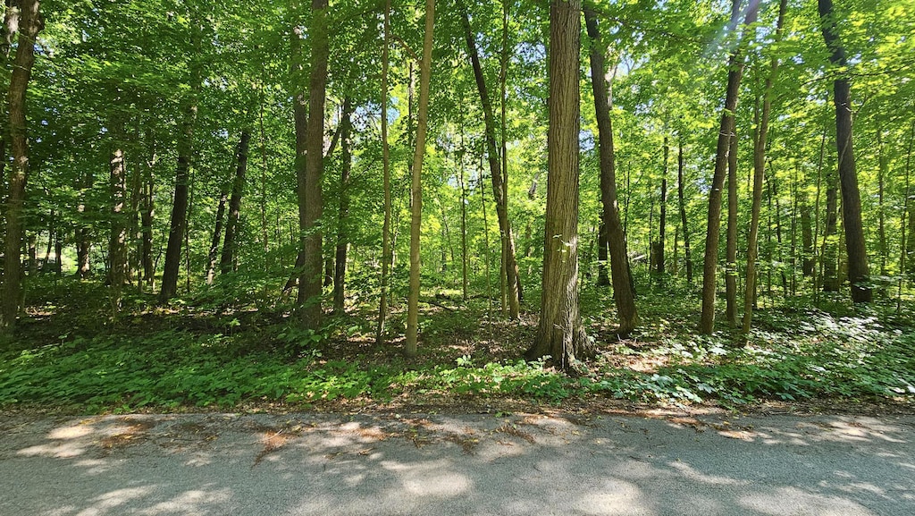 5639 W Timberlane Rd, Monee, IL 60449