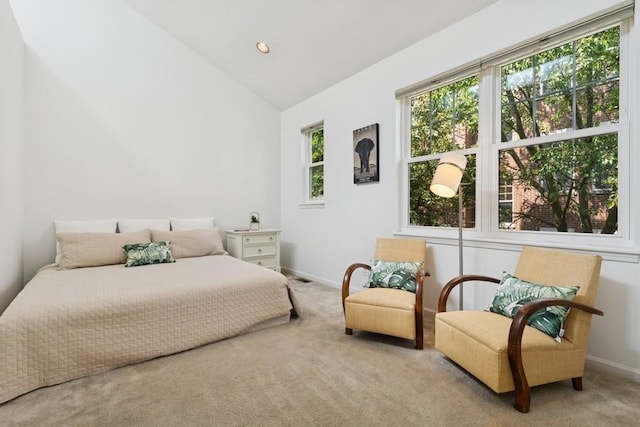 250 W Scott St Unit C, Chicago, IL 60610 - carpeted bedroom featuring baseboards and high vaulted ceiling