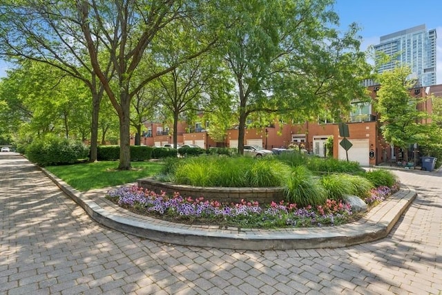 250 W Scott St Unit C, Chicago, IL 60610 - view of home's community