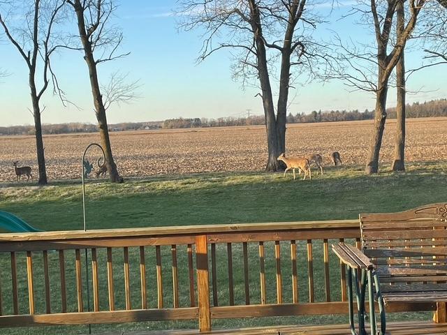 12571 W 3000 N Rd, Bonfield, IL 60913 - view of grassy yard featuring a view of rural / pastoral area
