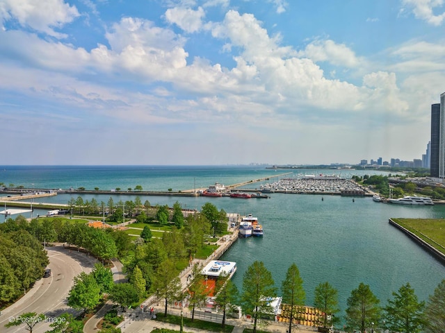 505 N Lake Shore Dr Unit 1209-10, Chicago, IL 60611 - photo 24