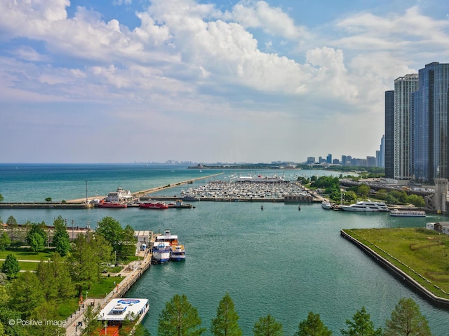 505 N Lake Shore Dr Unit 1209-10, Chicago, IL 60611 - photo 26