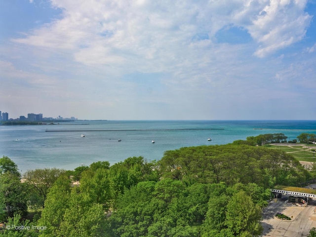 505 N Lake Shore Dr Unit 1209-10, Chicago, IL 60611 - photo 29