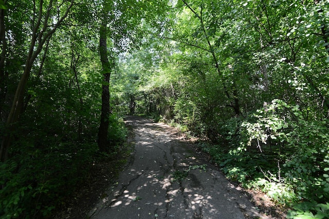 1420 Yellowstone Dr, Streamwood, IL 60107 - view of road with a forest view
