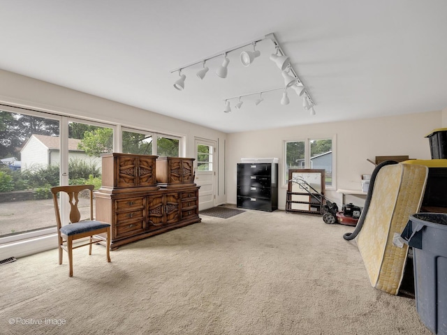 1106 E N Path, Wheaton, IL 60187 - photo 16