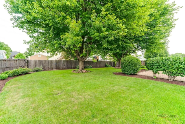 707 Wedgewood Trl, Mchenry, IL 60050 - view of fenced backyard