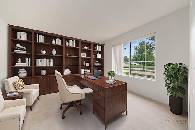 707 Wedgewood Trl, Mchenry, IL 60050 - office area with light colored carpet and baseboards