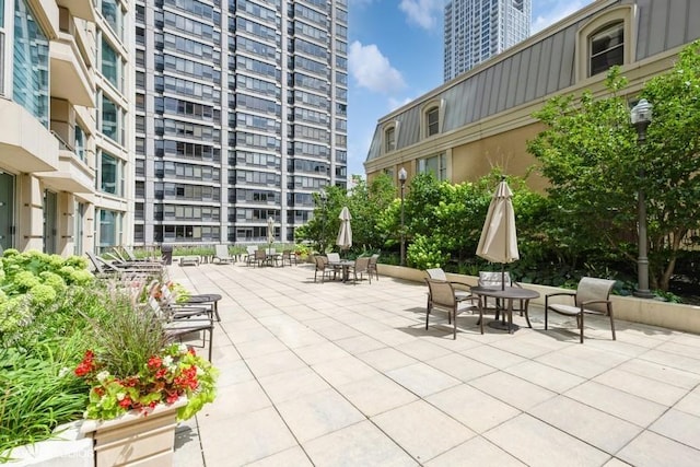 25 E Superior St Unit 1503, Chicago, IL 60611 - photo 24