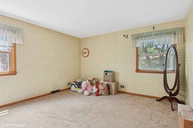 1615 E Miner St, Arlington Heights, IL 60004 - recreation room featuring plenty of natural light, carpet flooring, and wallpapered walls
