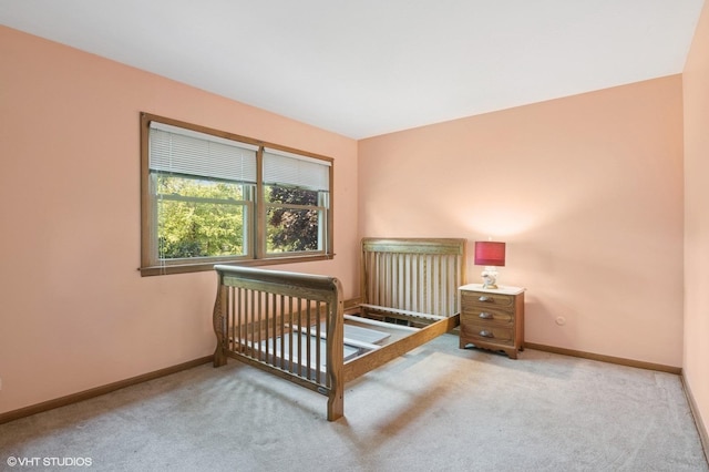 1615 E Miner St, Arlington Heights, IL 60004 - bedroom with carpet