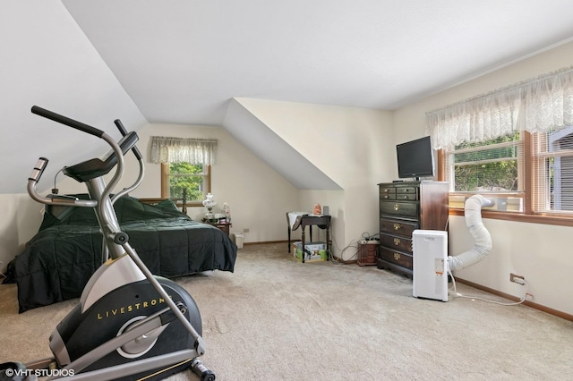 1615 E Miner St, Arlington Heights, IL 60004 - carpeted bedroom with baseboards and vaulted ceiling