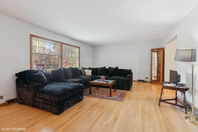 1615 E Miner St, Arlington Heights, IL 60004 - living room featuring light wood finished floors