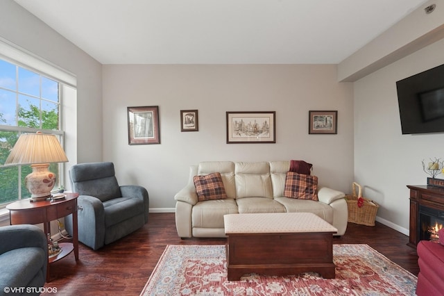 3125 Town Square Dr Unit 408, Rolling Meadows, IL 60008 - living room featuring dark wood-style floors and a glass covered fireplace