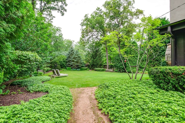 670 S Green Bay Rd, Lake Forest, IL 60045 - view of grassy yard