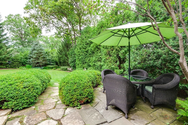 670 S Green Bay Rd, Lake Forest, IL 60045 - view of patio / terrace