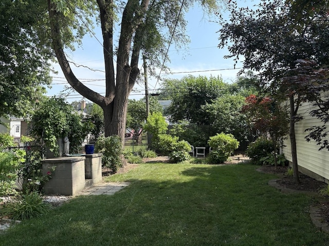 421 W Verret St, Elmhurst, IL 60126 - view of yard