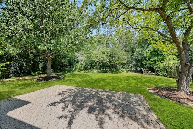 27W098 Walnut Dr, Winfield, IL 60190 - view of yard featuring a patio