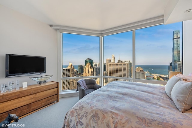 401 N Wabash Ave Unit 33K, Chicago, IL 60611 - bedroom featuring a wall of windows and carpet flooring