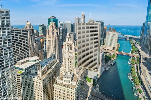 401 N Wabash Ave Unit 33K, Chicago, IL 60611 - city view featuring a large body of water and a notable bridge