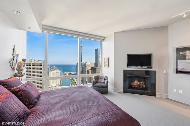 401 N Wabash Ave Unit 33K, Chicago, IL 60611 - carpeted bedroom with a lit fireplace and a wall of windows