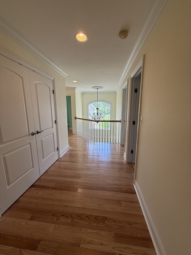 114 E 56th St, Westmont, IL 60559 - photo 17