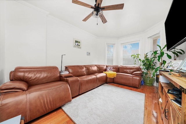 1516 E 74th Pl, Chicago, IL 60619 - living room featuring light wood-type flooring, ornamental molding, and ceiling fan