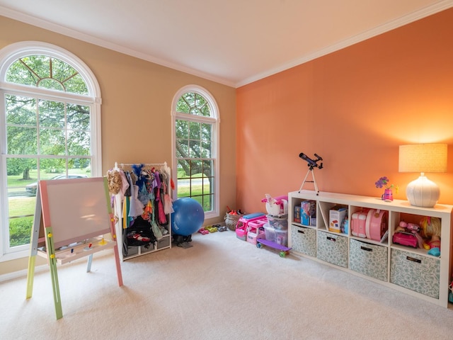 15955 Raintree Rd, Bloomington, IL 61705 - recreation room featuring carpet and ornamental molding
