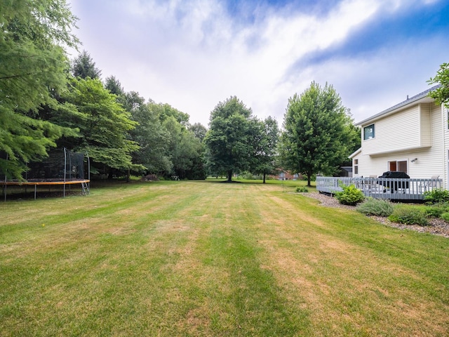 15955 Raintree Rd, Bloomington, IL 61705 - view of green lawn with a trampoline and a deck