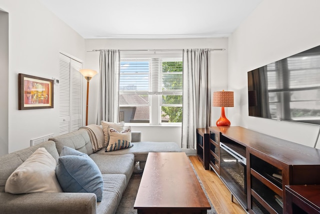 4240 N Clarendon Ave Unit 405S, Chicago, IL 60613 - living room featuring light wood-style floors