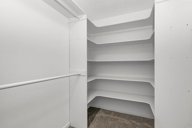 219 N Nina St, Cortland, IL 60112 - spacious closet with carpet