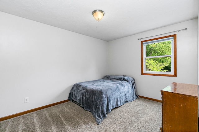 219 N Nina St, Cortland, IL 60112 - bedroom featuring carpet floors