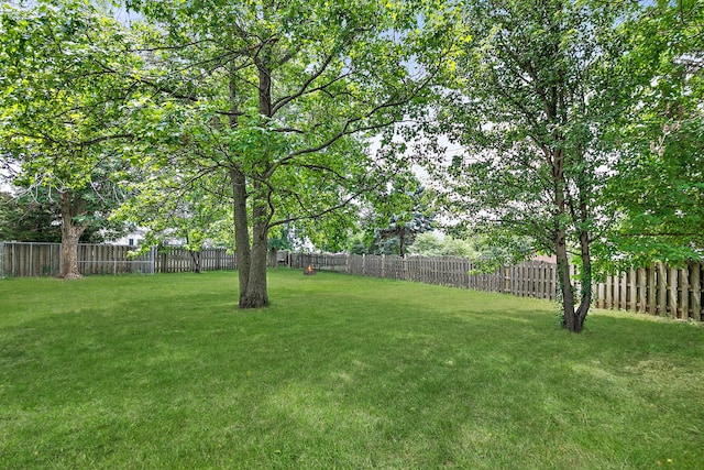 219 N Nina St, Cortland, IL 60112 - view of fenced backyard