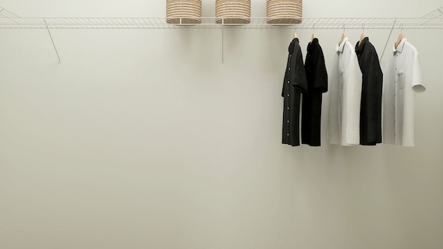 12251 Ehorn Rd, Huntley, IL 60142 - view of walk in closet