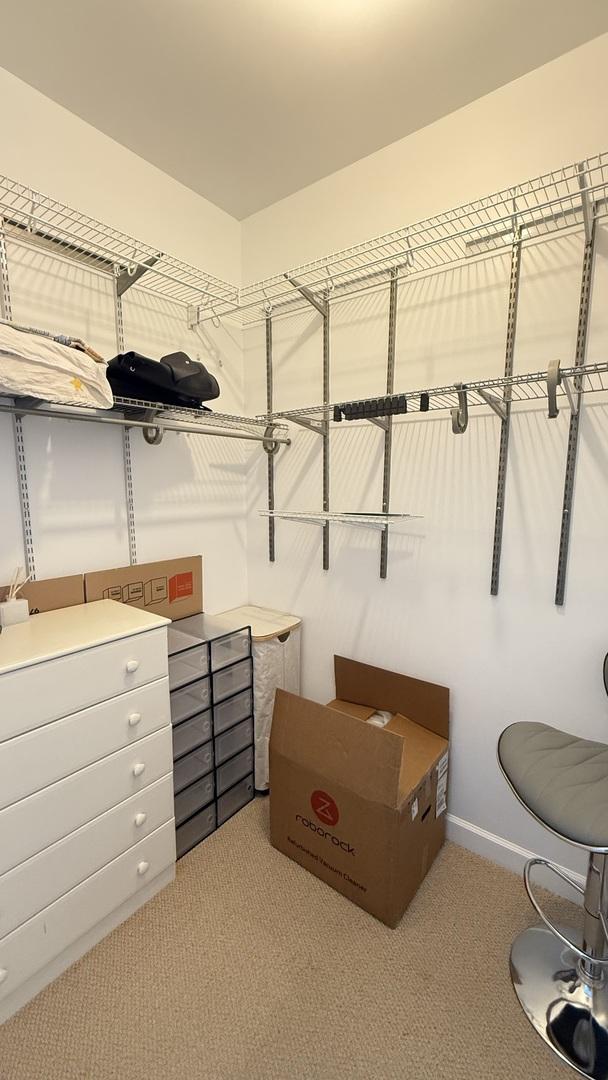 1841 S Calumet Ave Unit 2102, Chicago, IL 60616 - walk in closet featuring carpet floors