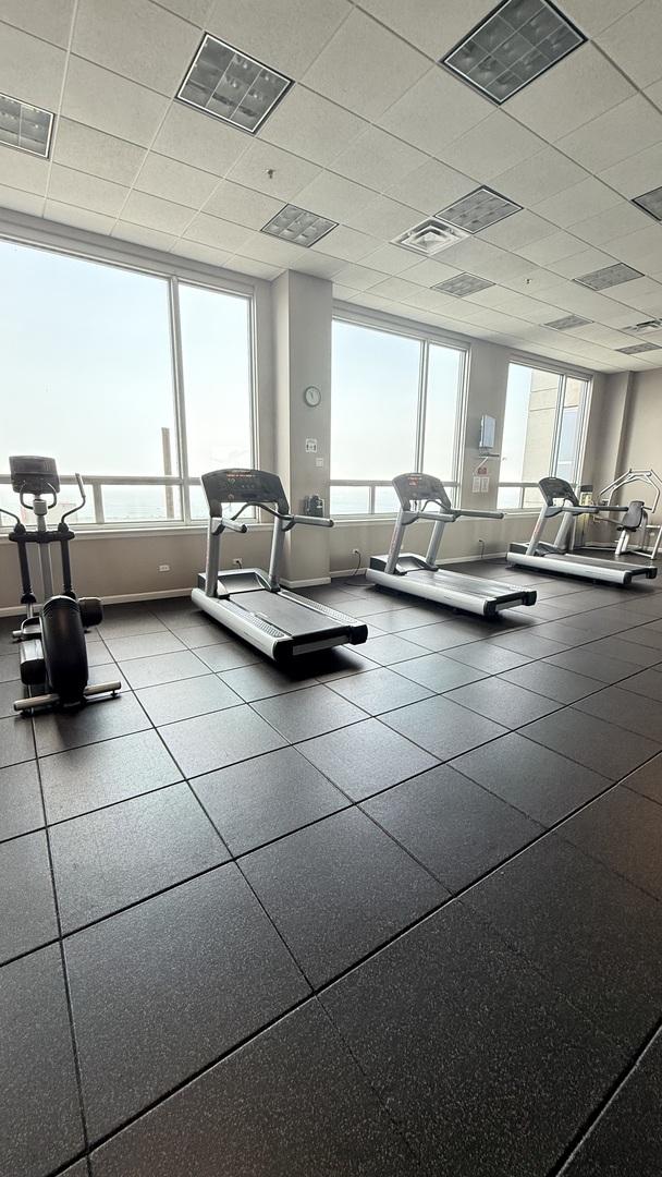 1841 S Calumet Ave Unit 2102, Chicago, IL 60616 - workout area featuring healthy amount of natural light and a paneled ceiling
