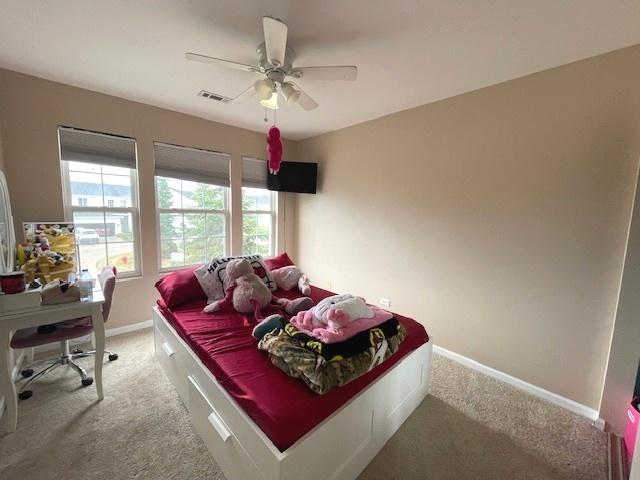 1037 Montego Bay Ct, Romeoville, IL 60446 - photo 13