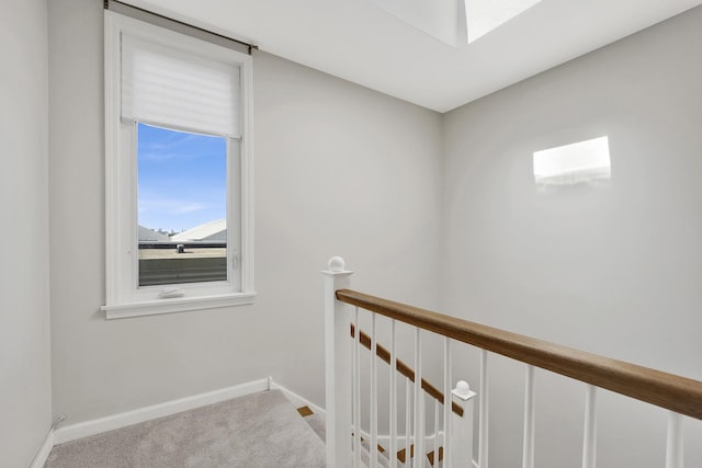 1315 W Webster Ave, Chicago, IL 60614 - hallway featuring an upstairs landing and carpet flooring