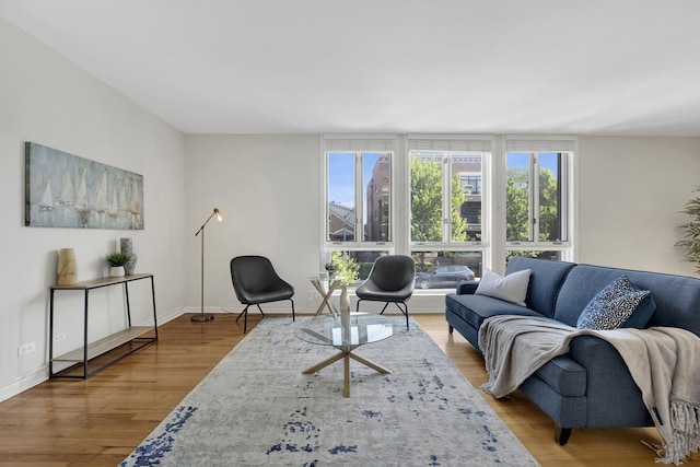 1315 W Webster Ave, Chicago, IL 60614 - living area with wood finished floors and baseboards