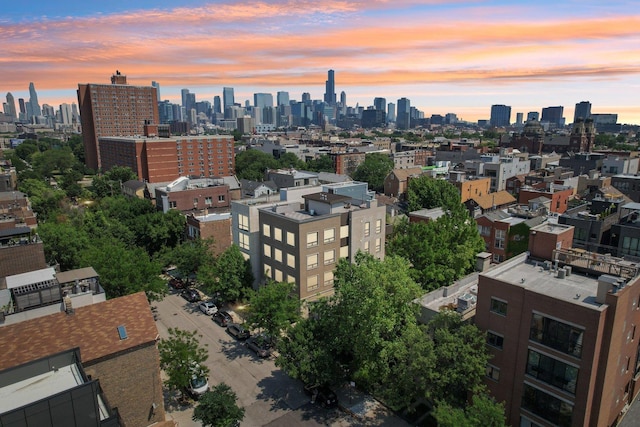 1529 W Chestnut St Unit 102, Chicago, IL 60642 - skyline view