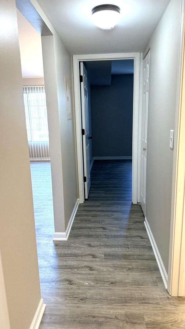 1411 Berta Dr Unit 2N, Crest Hill, IL 60403 - hallway with wood finished floors and baseboards