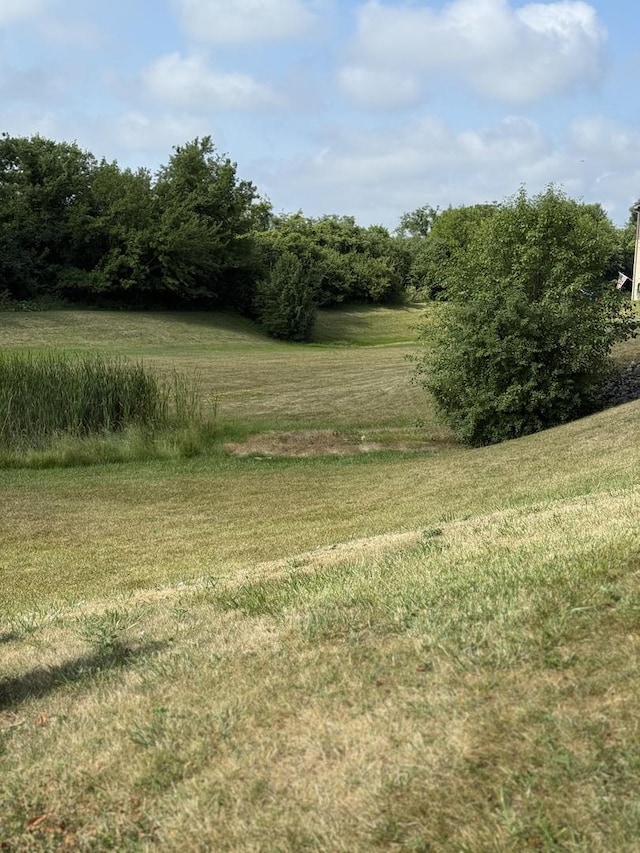 1411 Berta Dr Unit 2N, Crest Hill, IL 60403 - view of green lawn