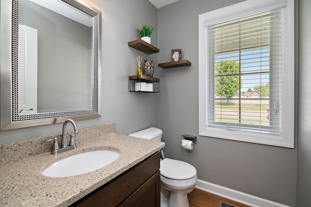 2225 Prairie Chase Dr, Bourbonnais, IL 60914 - bathroom with healthy amount of natural light, vanity, and wood finished floors