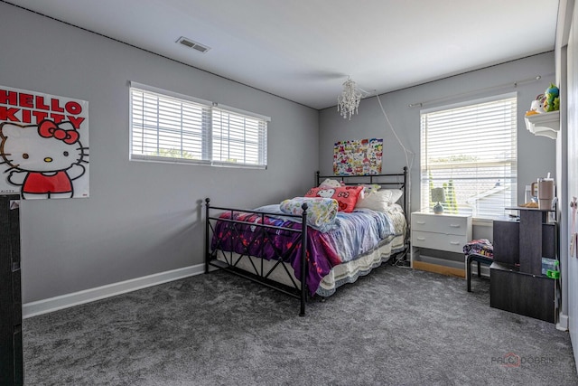895 Franklin Ave, South Elgin, IL 60177 - photo 29